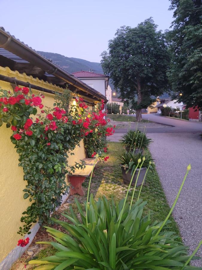 Pension & Ferienwohnung Dullnig Gmund in Karnten Luaran gambar